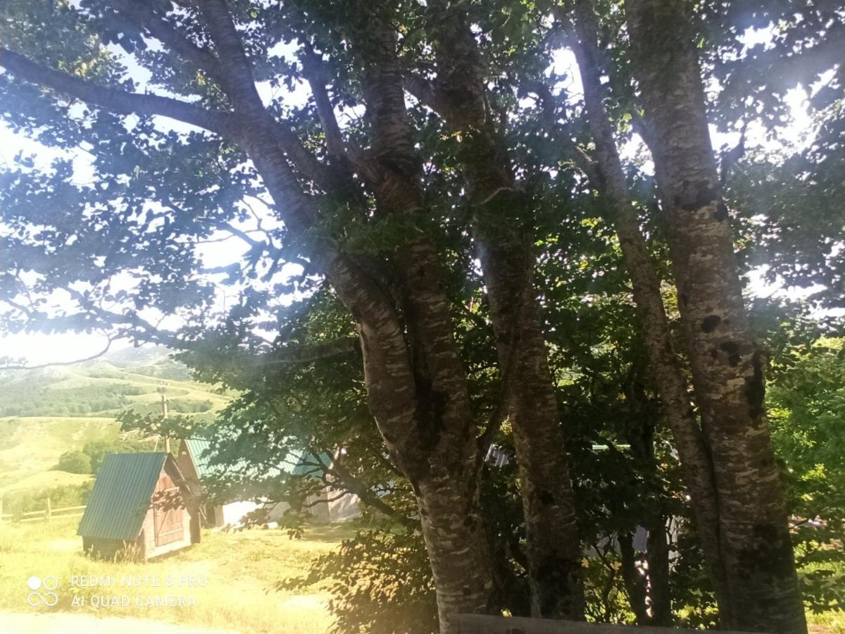 Katun Ljeljenak Hotel Плужине Екстериор снимка