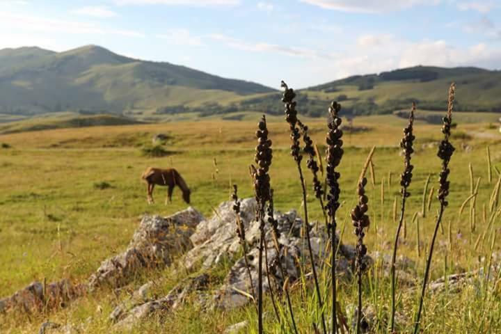 Katun Ljeljenak Hotel Плужине Екстериор снимка