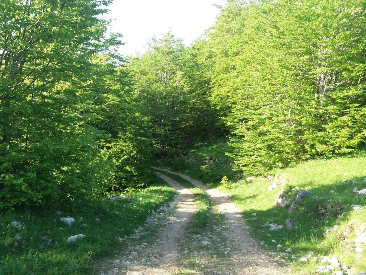 Katun Ljeljenak Hotel Плужине Екстериор снимка