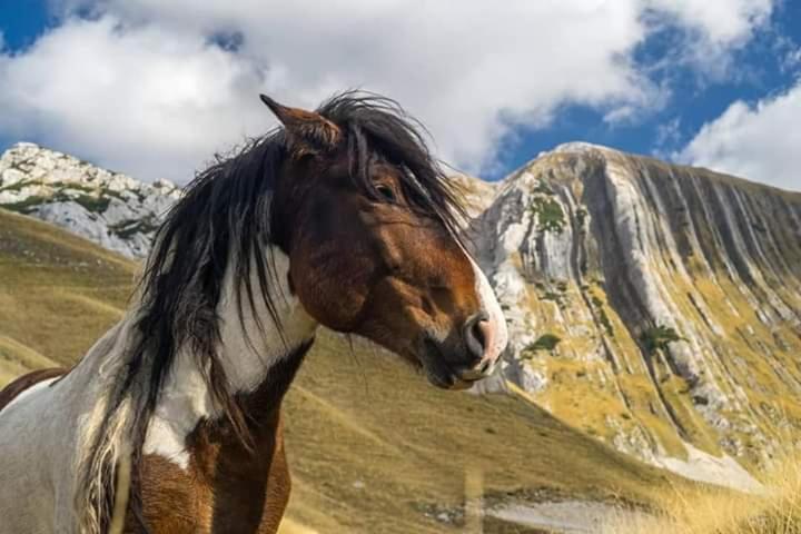 Katun Ljeljenak Hotel Плужине Екстериор снимка